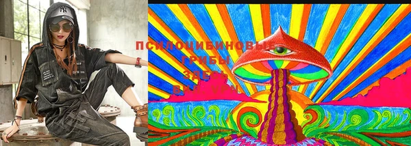 шишки Абдулино